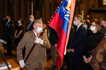 Dan samostojnosti Krško 058